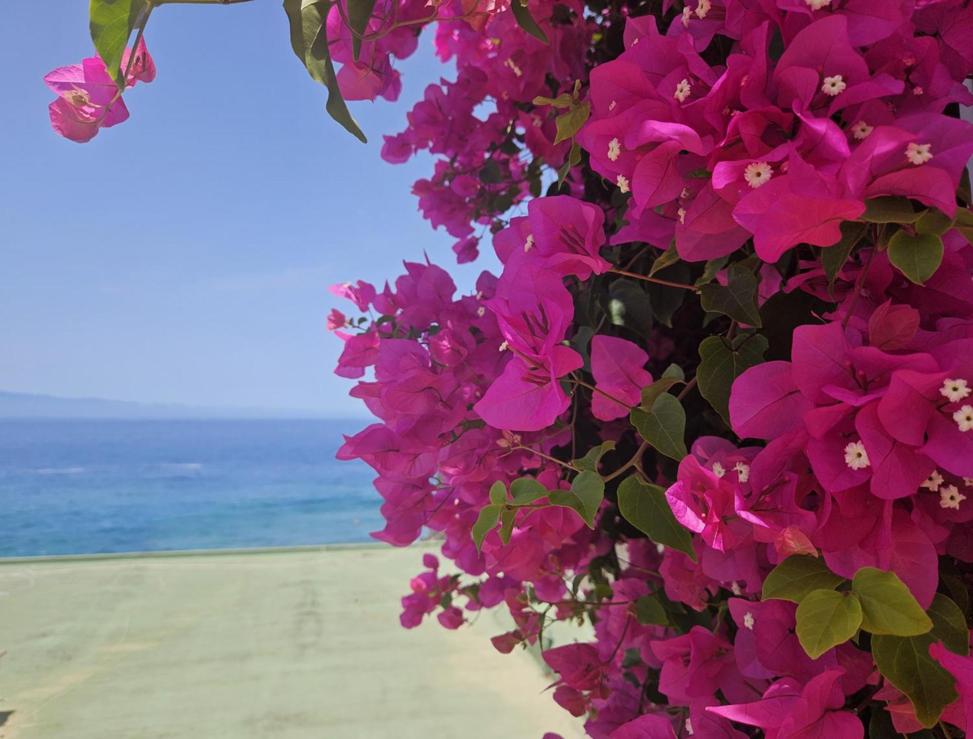 Paulmarie Apartment Playa La Arena Пуэрто-де-Сантьяго Экстерьер фото
